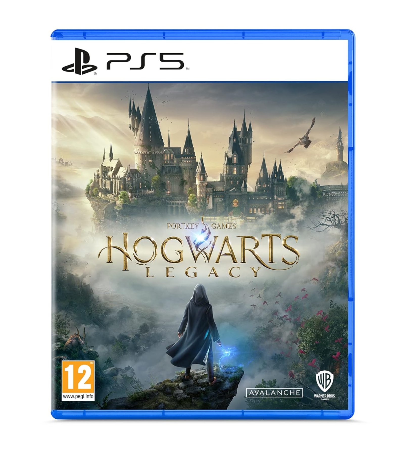 Игра для PlayStation 5 - Hogwarts Legacy
