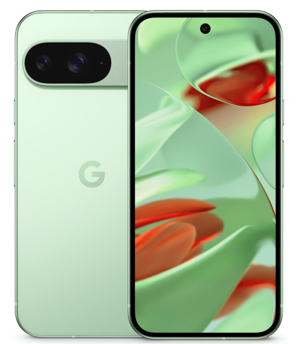 Смартфон Google Pixel 9 12/128 ГБ Wintergreen