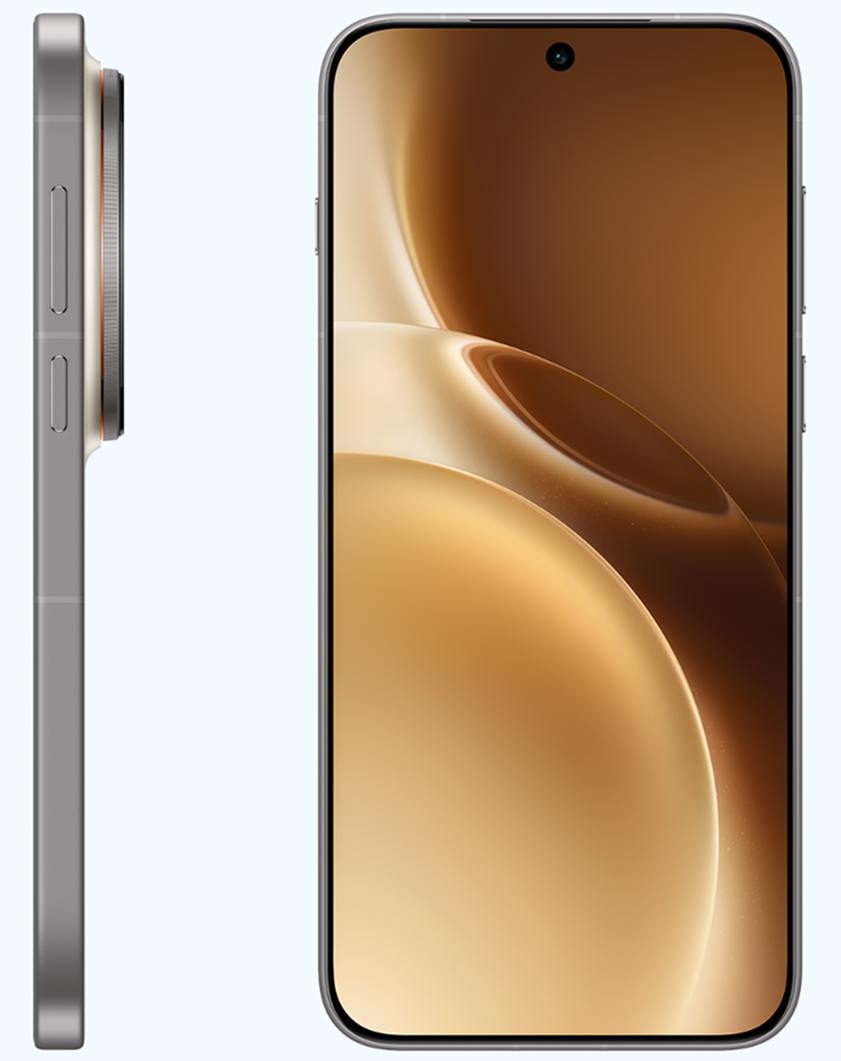 Смартфон Vivo X300 Pro 12/256Gb Brown CN